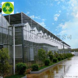 鑫泽玻璃温室  生态餐厅 生态餐厅厂家