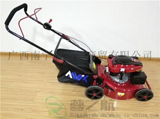 广西南宁出售18寸隆鑫国产品牌草坪机