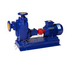 自吸式无堵塞排污泵 ZW100-80-45-30KW大功率污水泵 品牌厂家