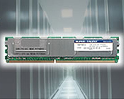 内存条（DDR2 FB DIMMs）